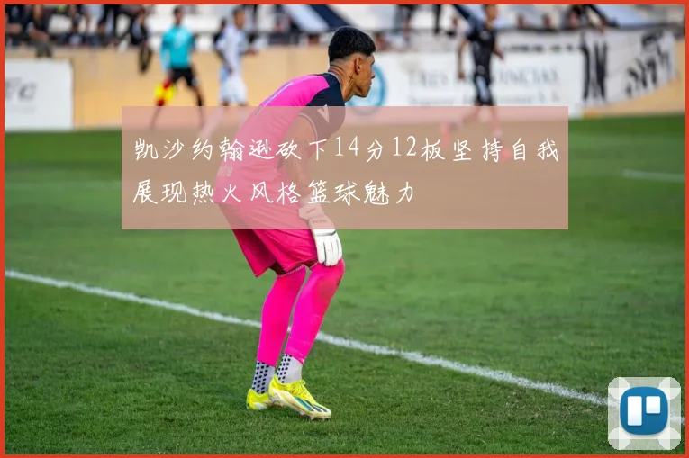 凯沙约翰逊砍下14分12板坚持自我展现热火风格篮球魅力