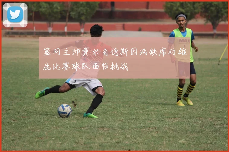 篮网主帅费尔南德斯因病缺席对雄鹿比赛球队面临挑战