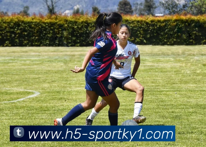 开云体育发展历程